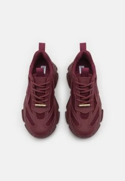 Steve Madden Possession - Sneakers Laag - Wine -Mode Schoenenwinkel b023863af28f4f4aab1677ac3717a836